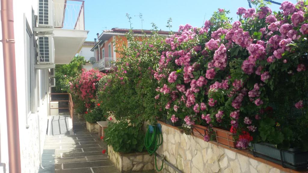 Zahrada ubytování Casa Fusco