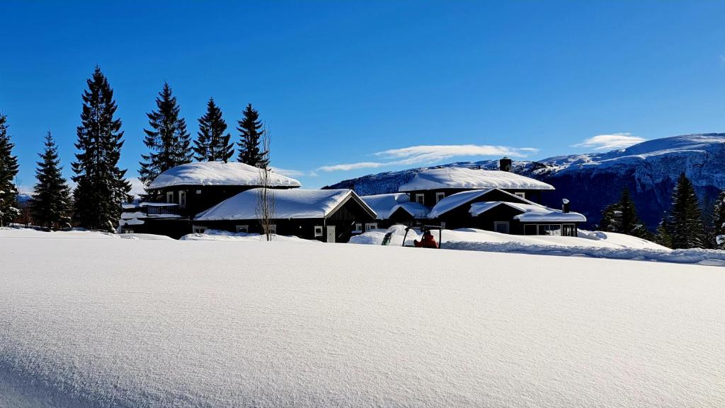 Το Stallen τον χειμώνα