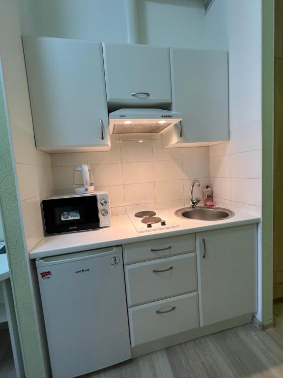 The Heart of Lviv Apartments - Lviv - Apartment At Petra Doroshenka Street 15/1