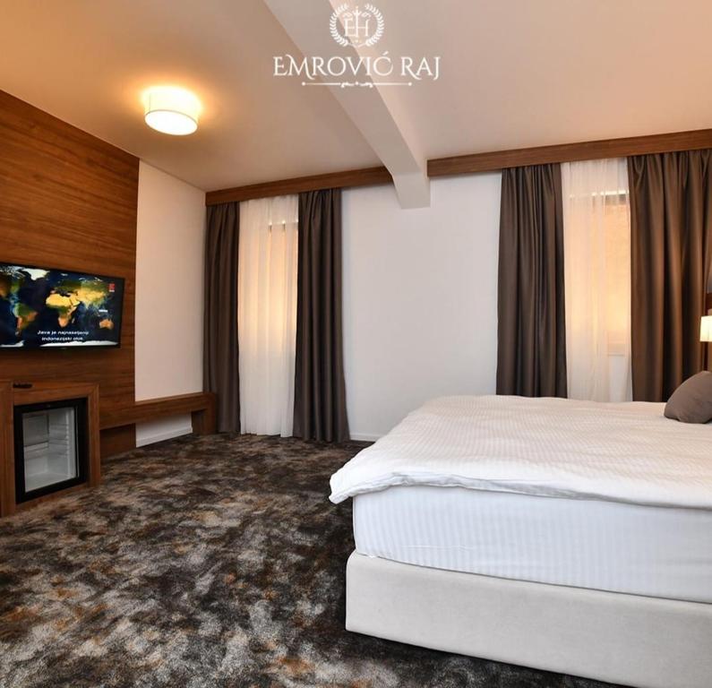 TV a/nebo společenská místnost v ubytování HOTEL EMROVIC RAJ