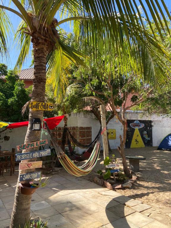 Zahrada ubytování Canoa Roots Hostel & Camping