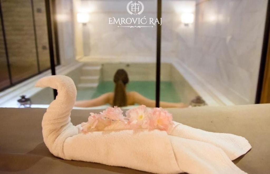 Fotografie z fotogalerie ubytování HOTEL EMROVIC RAJ v destinaci Novi Pazar