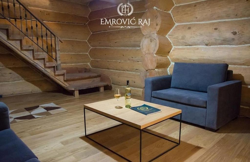 Posezení v ubytování HOTEL EMROVIC RAJ