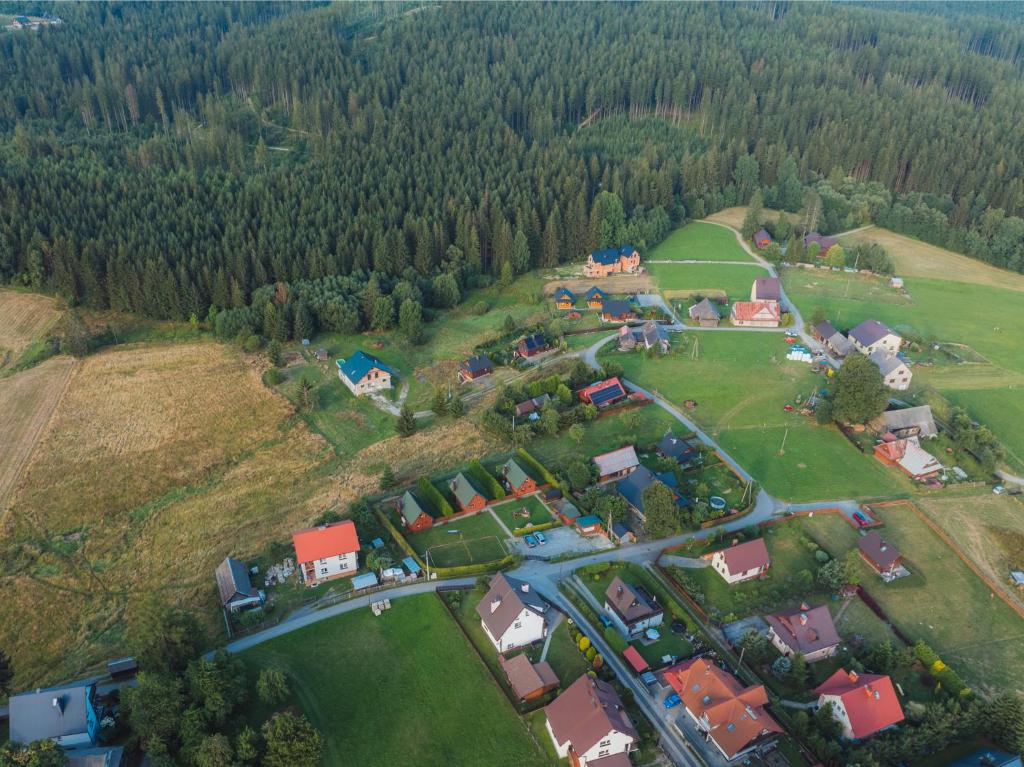Príroda v okolí horskej chaty
