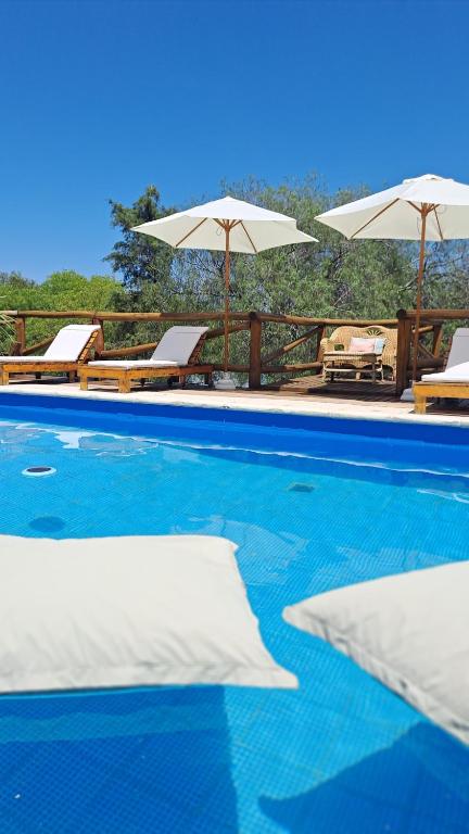 a swimming pool with chairs and umbrellas at Flor de Lis Casas de Campo in Los Cocos