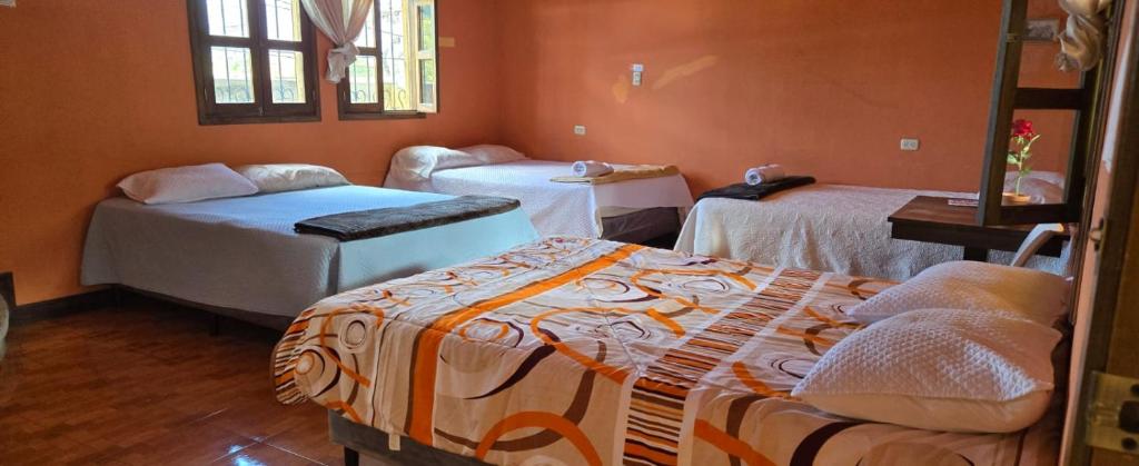 Ciudad Vieja Bed & Breakfast Hotel Casa del Turista - Triple Room With Private Bathroom