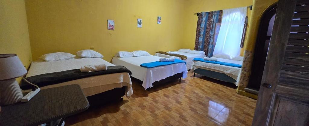 Ciudad Vieja Bed & Breakfast Hotel Casa del Turista - Family Room With Private Bathroom