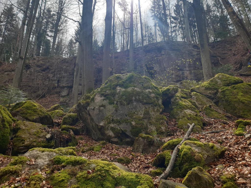 Příroda nedaleko apartmánu