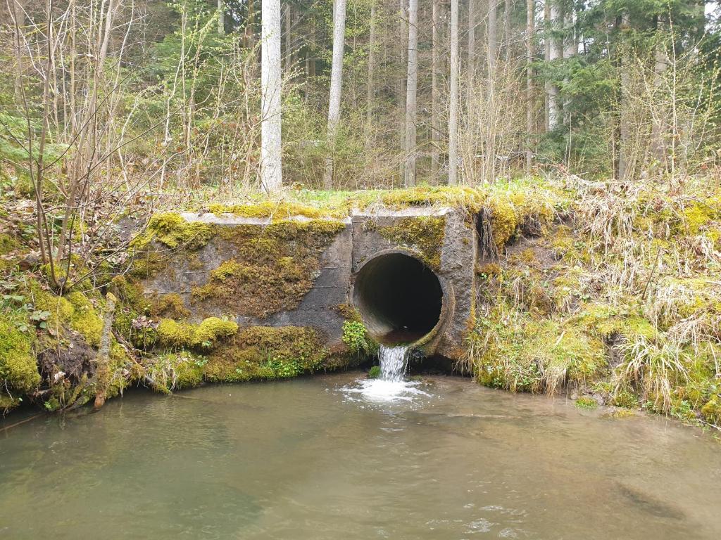 Příroda nedaleko apartmánu