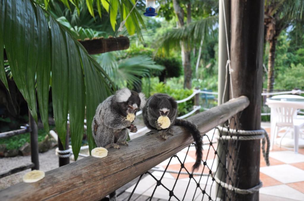  Pousada Águas de Parati
