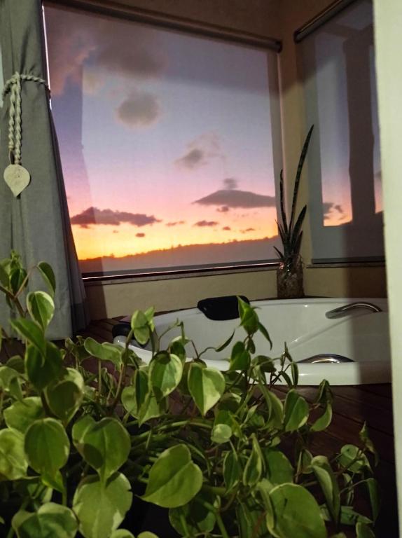 a bathroom with a window with a bath tub and a plant at Chalé Jenipapo in Serra do Cipo