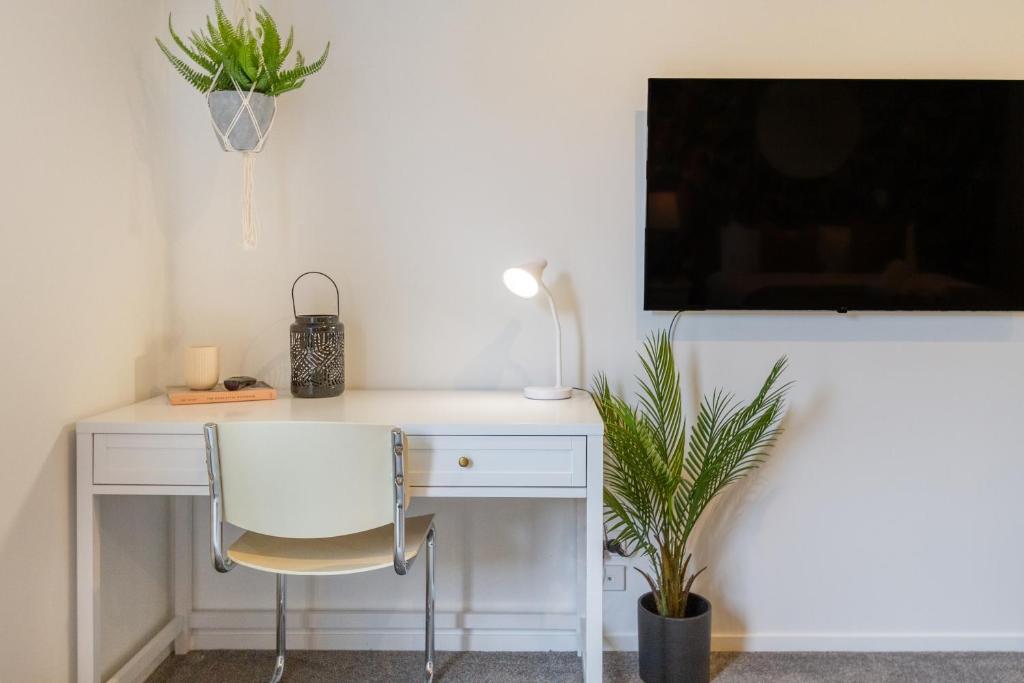 Spacious Ground-Level Studio in Central Location - Resim 5