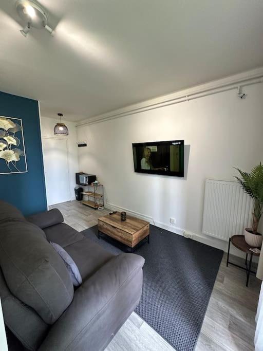 un salon avec un canapé et une télévision à écran plat dans l'établissement Studio calme proche de Lyon avec parking privé, à La Mulatière