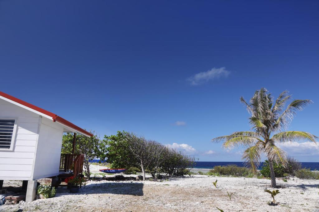 Oteaeva Lodge - photo 11 - Fakarava, Polynésie