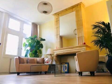 un salon avec un canapé et un miroir dans l'établissement Appartement Hotel du Chastenoy - Vieille ville Stanislas, à Nancy