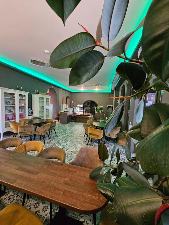 Hotel Apollonia - Resim 3