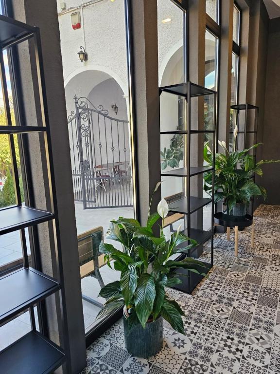 Hotel Apollonia - Resim 18