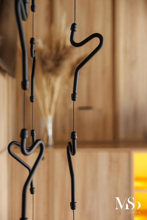 Hotel Brasov - Resim 33