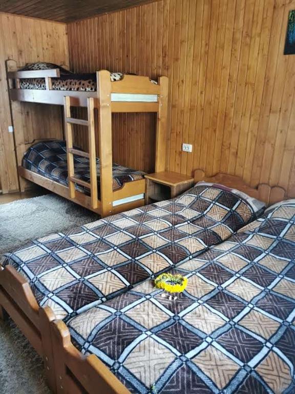 Рада Дараба - Standard Quadruple Room