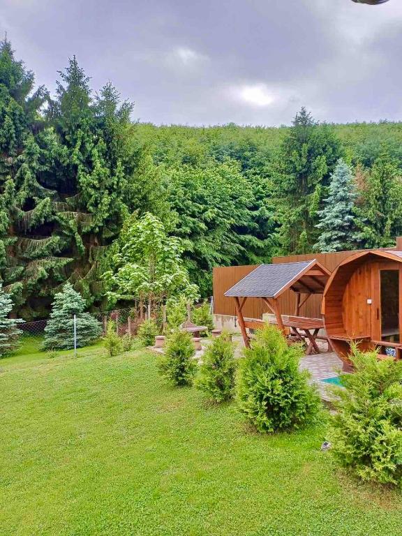Příroda nedaleko apartmánu