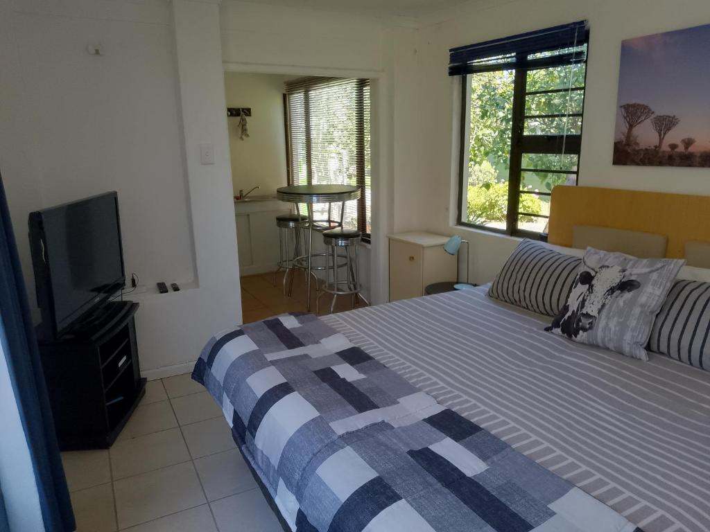 a bedroom with a bed and a flat screen tv at Fisherhaven Guest House in Hermanus