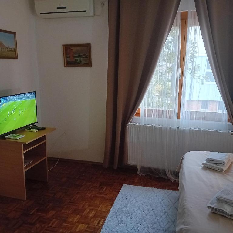 TV a/nebo společenská místnost v ubytování Zeravica Rooms B&B