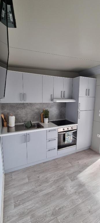 Kuchyňa alebo kuchynka v ubytovaní Rasin Mobile Homes