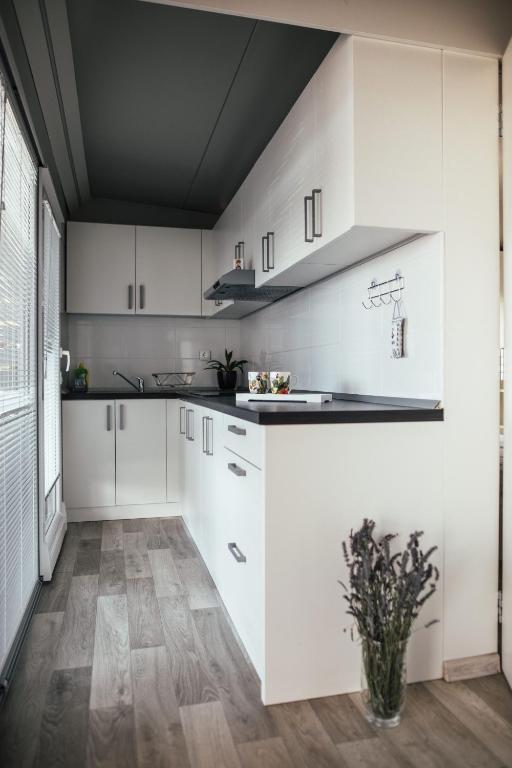 Kuchyňa alebo kuchynka v ubytovaní Rasin Mobile Homes