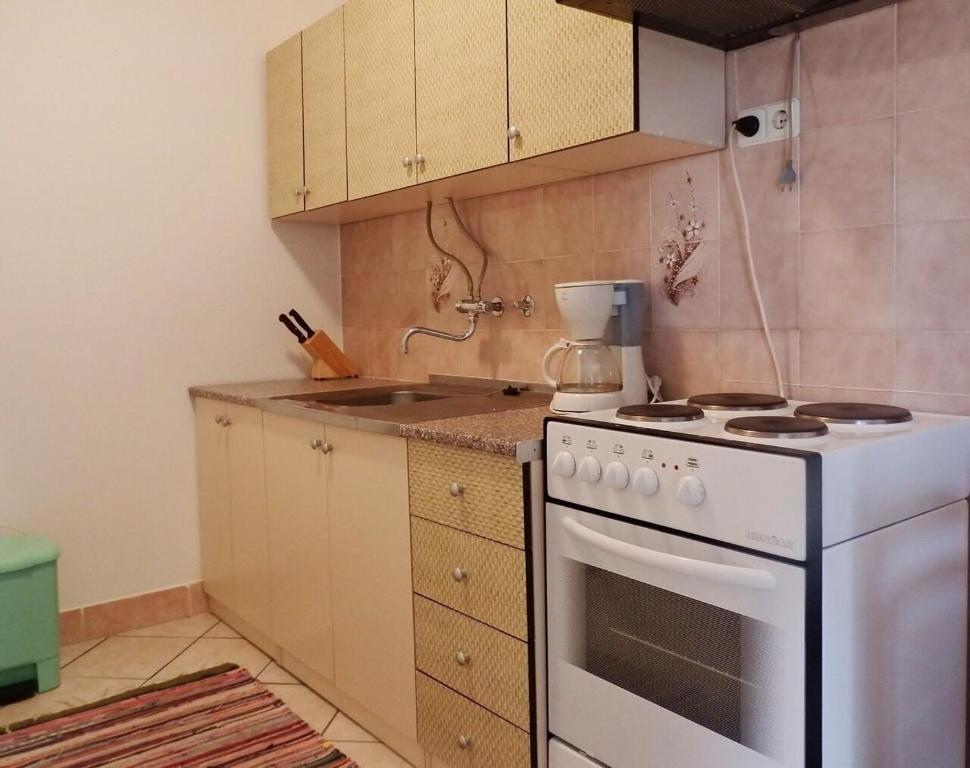 Kuchyňa alebo kuchynka v ubytovaní Apartments Makic