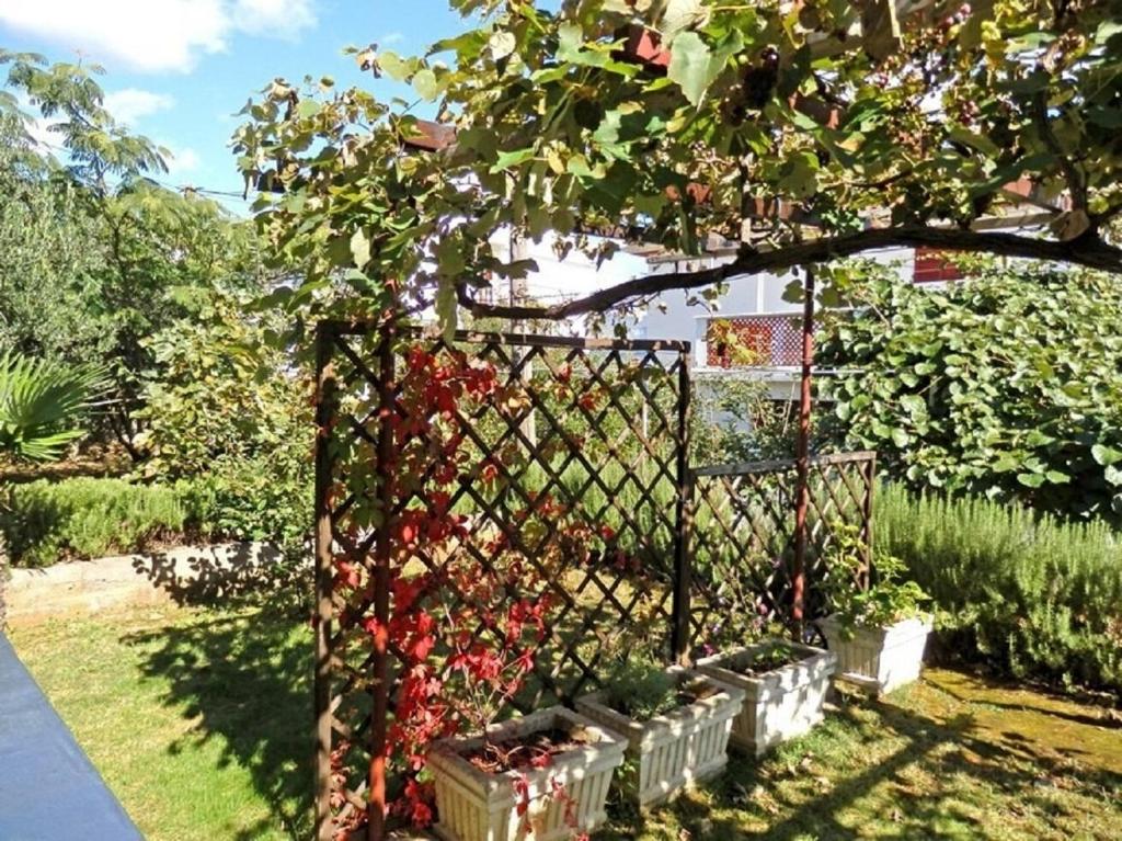 Vonkajšia záhrada v ubytovaní Apartments Makic
