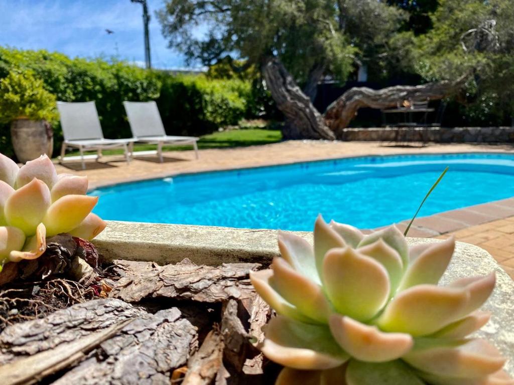 Piscina de la sau aproape de Anchor's Rest