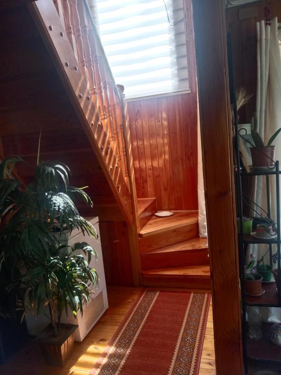 Fotografie z fotogalerie ubytování hospedaje Isla Paraiso v destinaci Castro