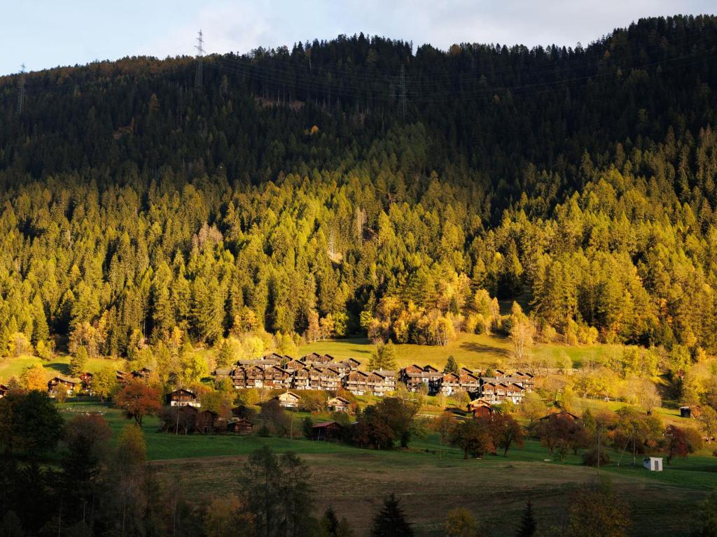 Příroda nedaleko apartmánu
