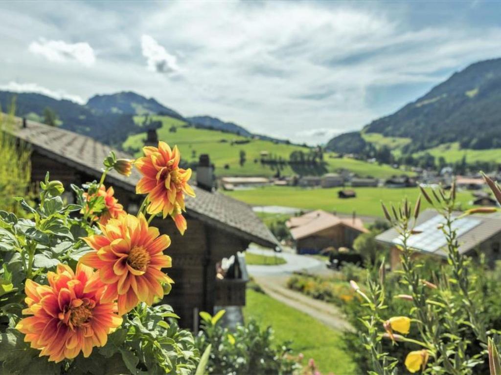 Fotografie z fotogalerie ubytování Apartment Christeli by Interhome v destinaci Zweisimmen