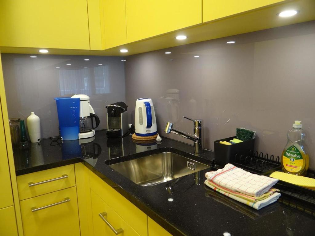 Kuchyň nebo kuchyňský kout v ubytování Apartment Sunnmatt West Wohnung 744 by Interhome
