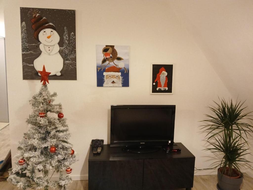 TV a/nebo společenská místnost v ubytování Gîte du logelbach