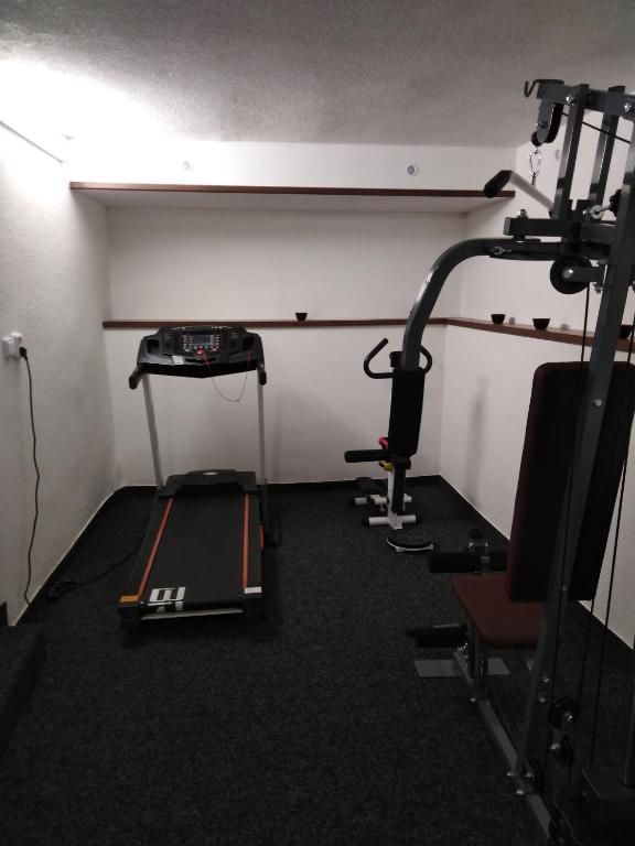 Posilňovňa alebo fitness centrum v ubytovaní Pension Lukas