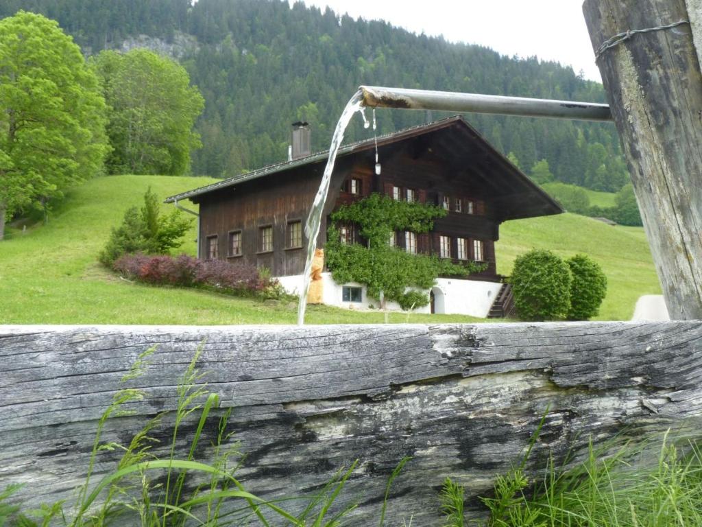 Příroda nedaleko apartmánu