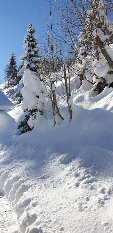 Chalet le Grenier des Crosets, Vue exceptionnelle sur les Dents du Midi v zimě