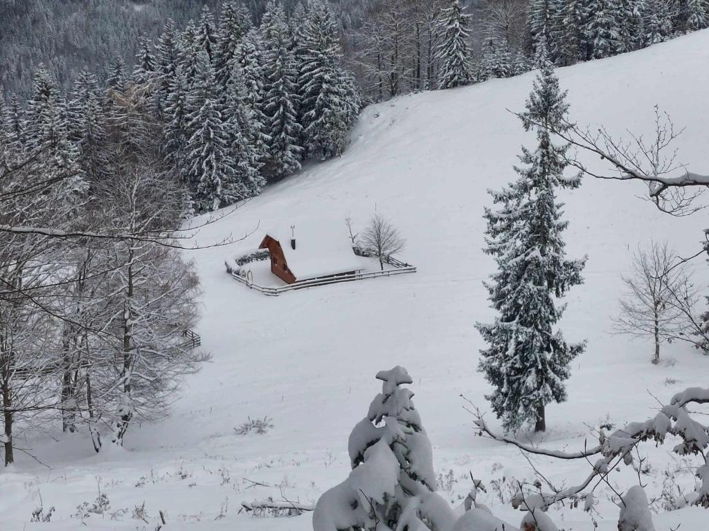 Koča Lipa pod Veliko planino v zimě
