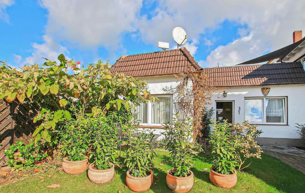 Zahrada ubytování Gorgeous Home In Waren Müritz