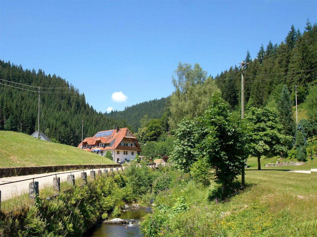ein Fluss auf einem Feld mit einem Haus im Hintergrund in der Unterkunft Gästehaus Herrmann in Bad Rippoldsau-Schapbach