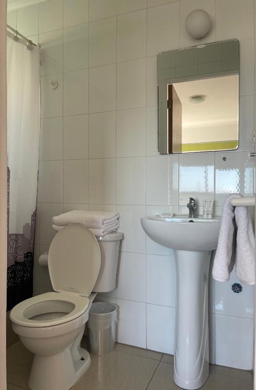 Koupelna v ubytování Hostal Recreo