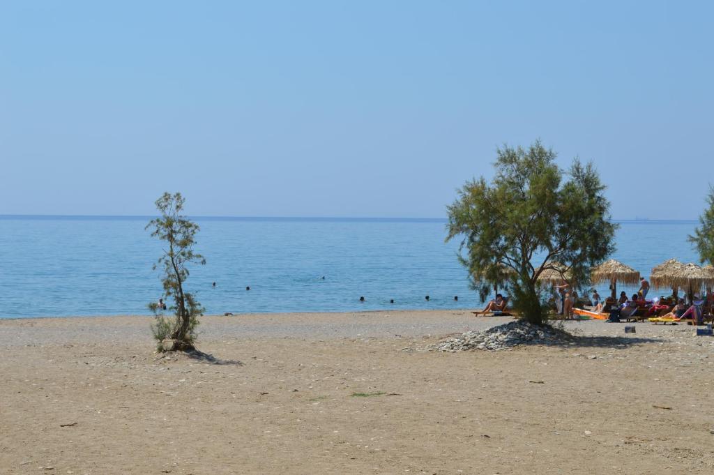 two trees on a beach with people in the water at Elli Studios & Apartments in Marathokampos
