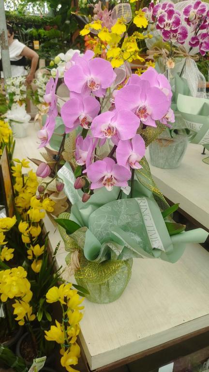 ein Blumenstrauß in Vasen auf einem Tisch in der Unterkunft new in São Paulo