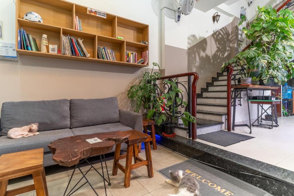 Posezení v ubytování Amango Dorm