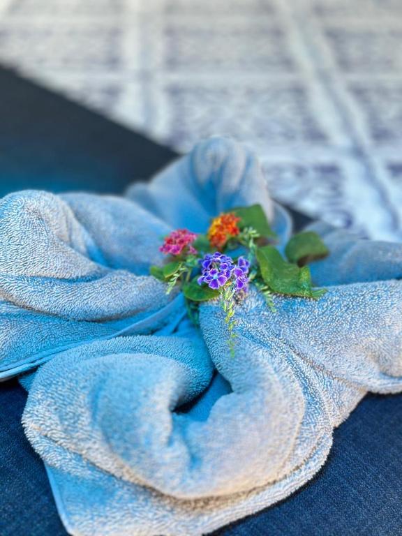 Fotografie z fotogalerie ubytování Hotel Maritza v destinaci Puerto Viejo
