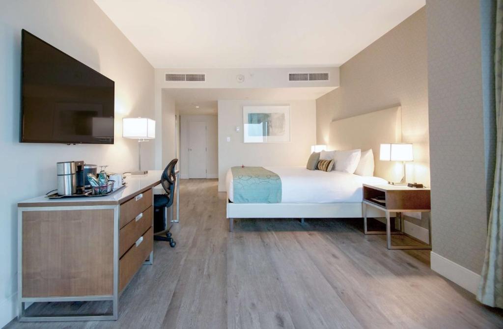 
Coast King - Pet Friendly 
