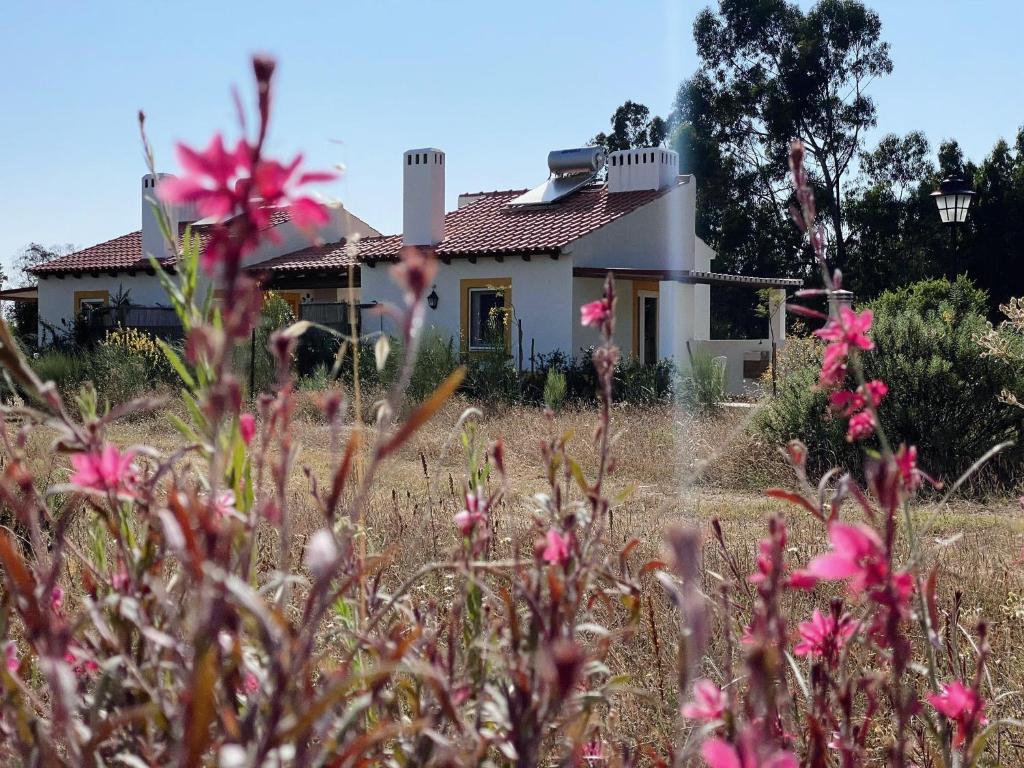 a house in the background with pink flowers in the foreground at Monte dos Cachoupos in São Luis