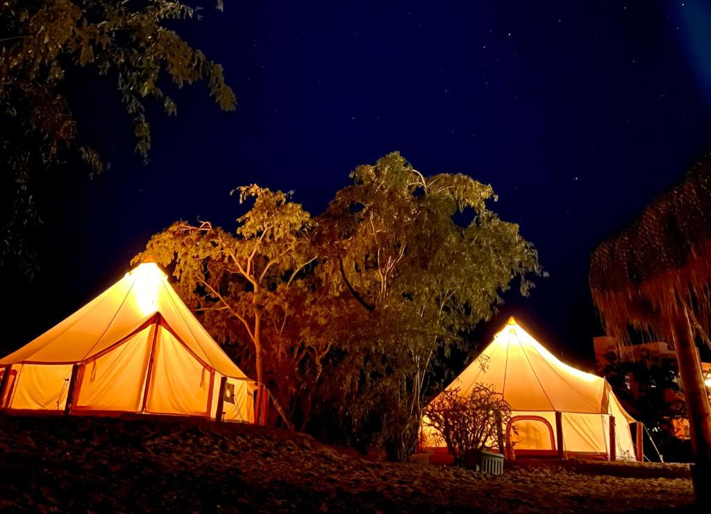 twee witte tenten worden 's nachts verlicht bij Glamping 3 Idiomas in El Sargento
